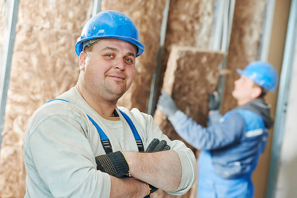 Best Insulation Installation Services in Baileyton, AL
