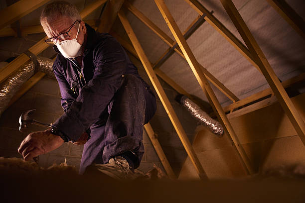 Best Residential Insulation in Baileyton, AL